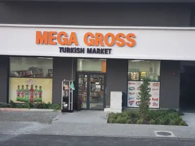 Mega Gross Turkish market