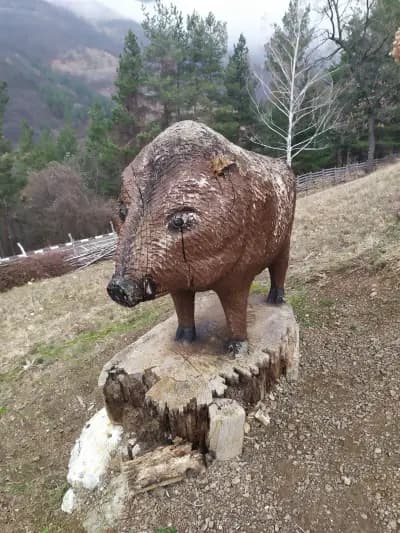 Дядо Йоцо гледа Врачански Балкан
