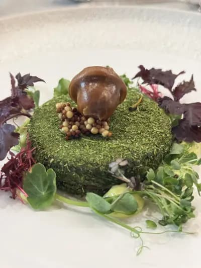 Chalet Petrohan & Restaurant Teya