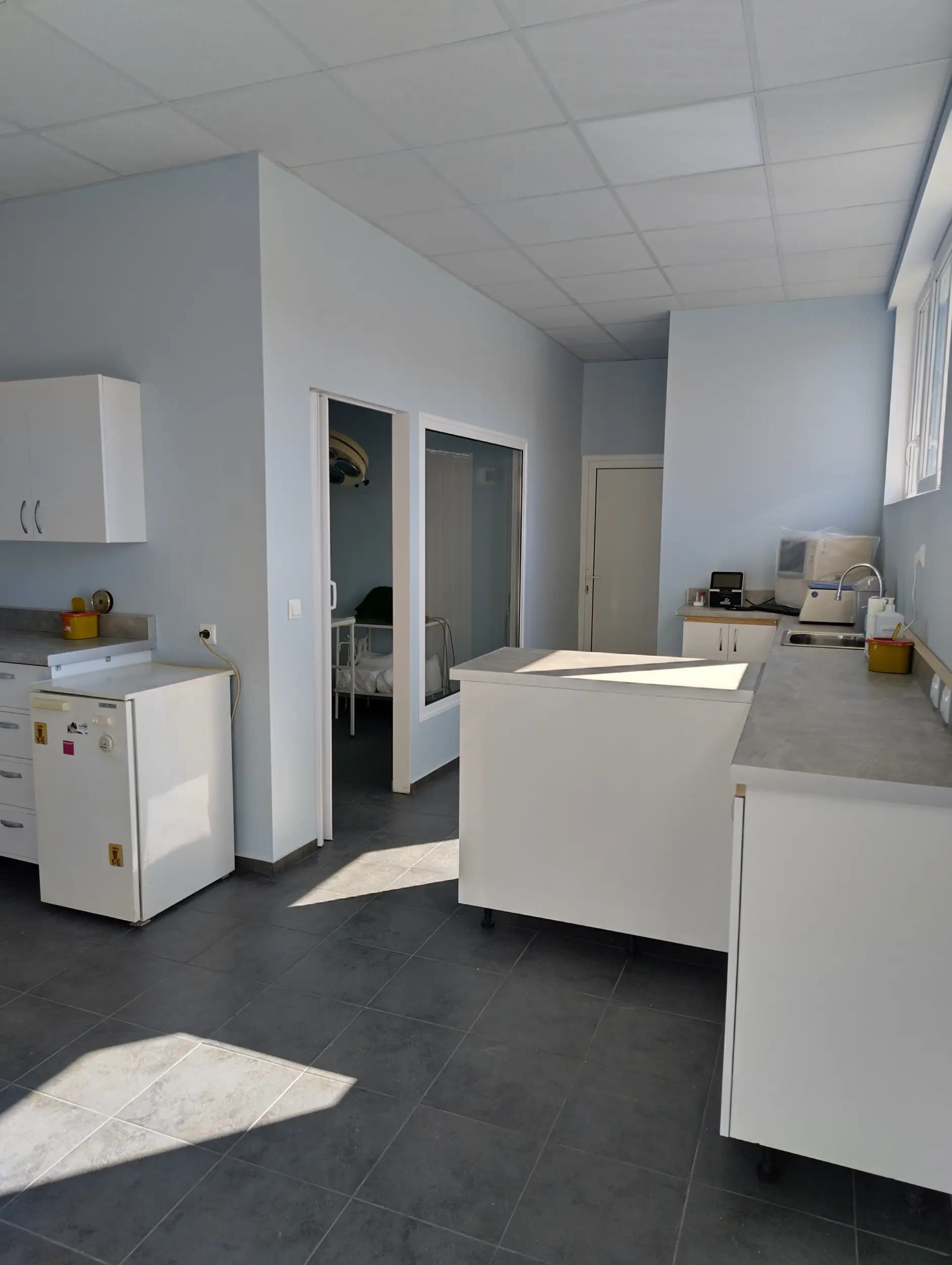 Ветеринарна клиника IlVet