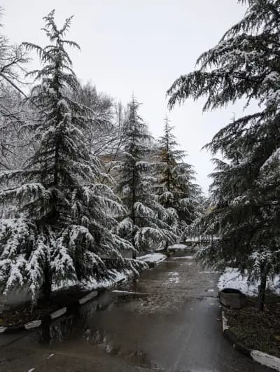 Сграда за процедури и настаняване към СБР-НК Павел баня