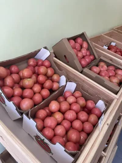 Плод и Зеленчук “Нашенско”