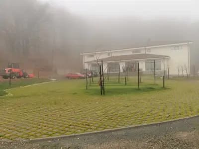 Орлово гнездо