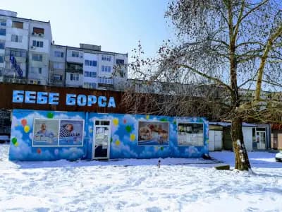 БЕБЕ БОРСА ПИПИЛОТА