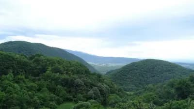 КЪЩА ЗА ГОСТИ "ПАЛИКАРОВИ"