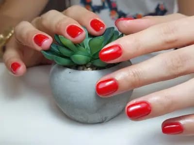Stacy nails