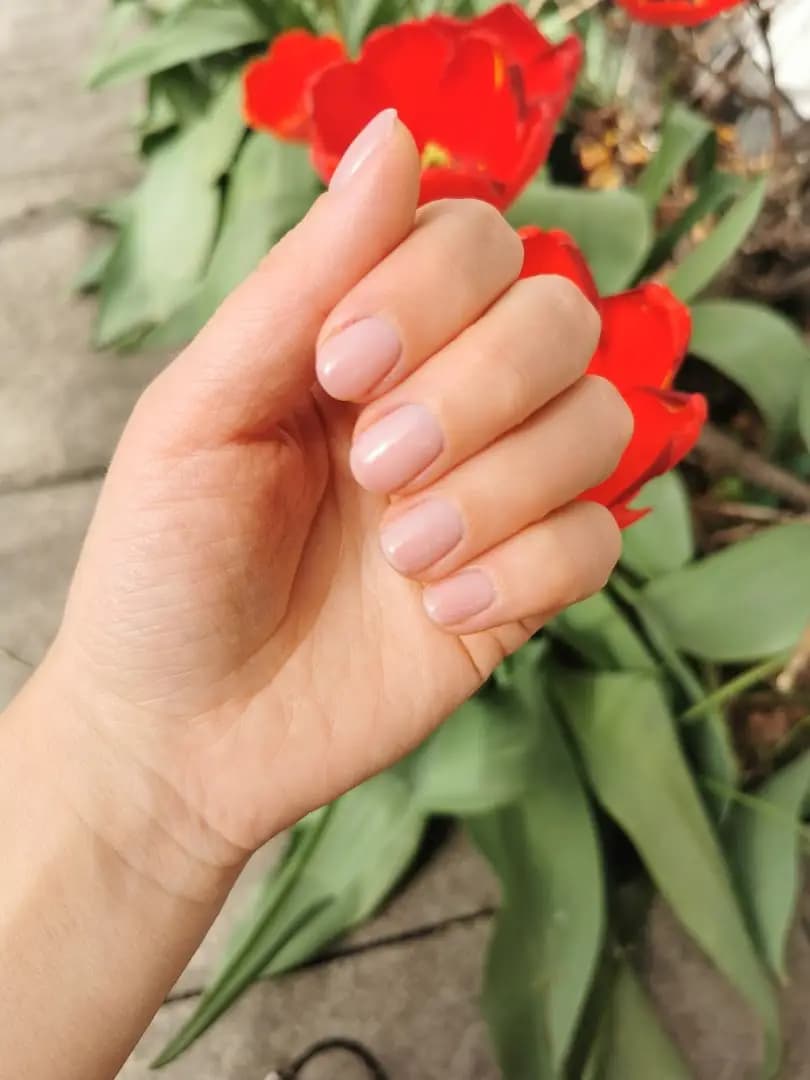 Stacy nails