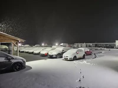 DANIAUTO Car dealership and Car transport