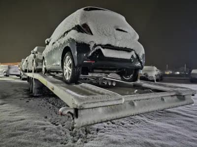 DANIAUTO Car dealership and Car transport
