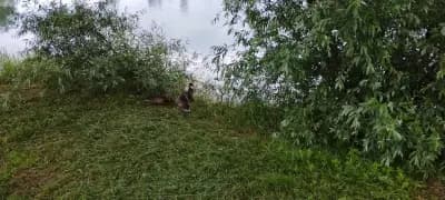 Дружбенско езеро