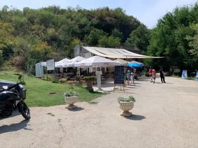 Antique Garden