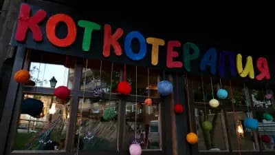 Билкопродавницата-кафе-сладкарница и магазин