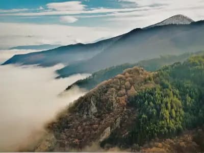 Панорама с пейка