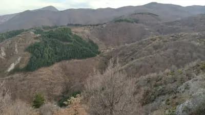 Панорама с пейка