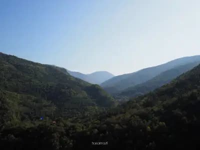 Храм „Света Богородица Петричка“