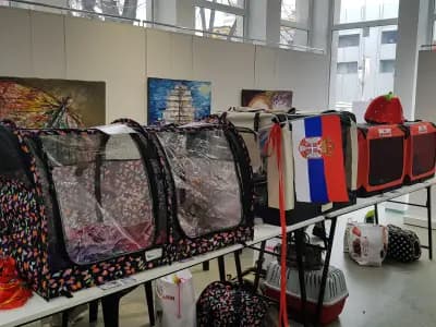 Градска художествена галерия
