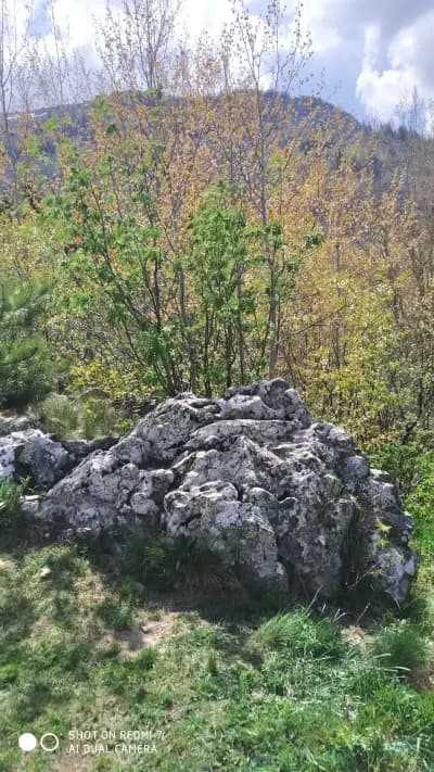 връх Кикиш 1434,6м