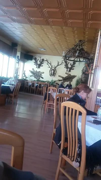 Старият елен