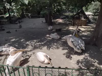 Терариум Варна