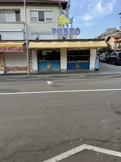 Рибко