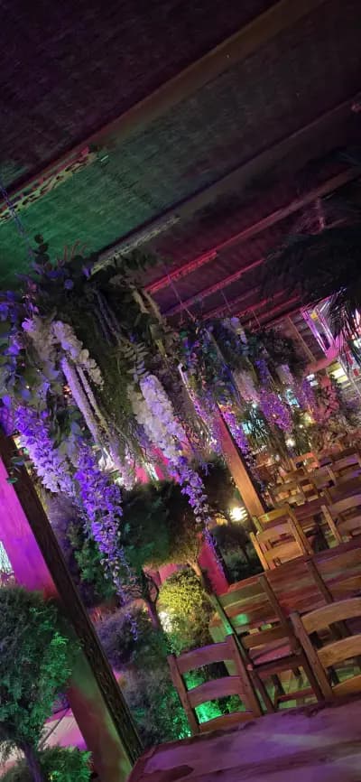 The Corner Bar & Dinner Sunny beach