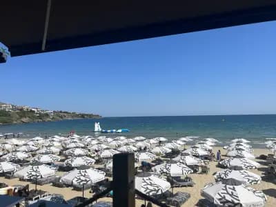 Olive Beach Bistro