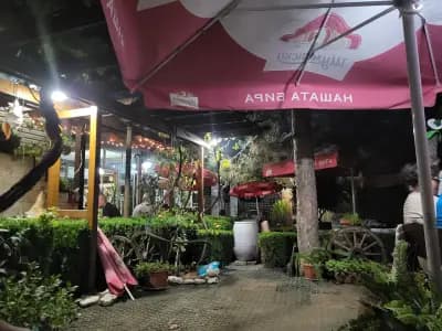 Cafe-aperitiv Toko