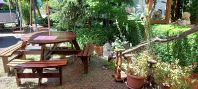 Cafe-aperitiv Toko