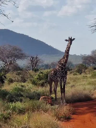 BANKOV TOURIST AGENCY