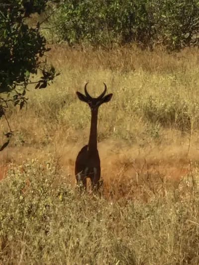 BANKOV TOURIST AGENCY