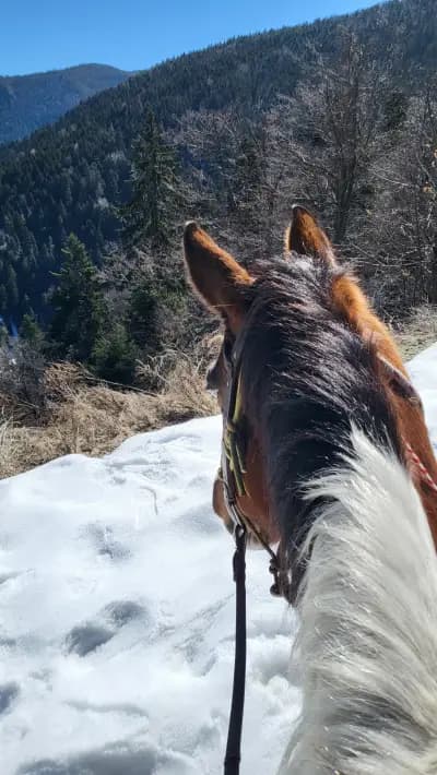 Езда "Боровец" / Horse Riding "Borovets"