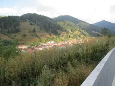 Спортно училище „Олимпийски надежди“