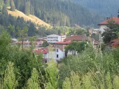 Спортно училище „Олимпийски надежди“