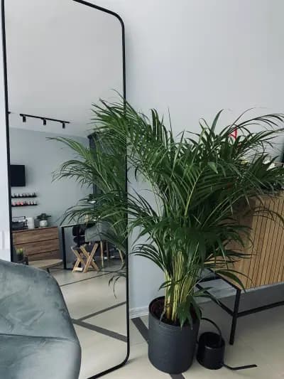 NAIL STUDIO LAKOM POMAZANO