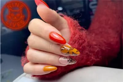 Nine Lives Nail Salon