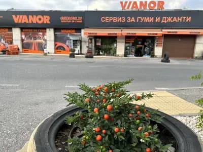 Сервиз за гуми Vianor