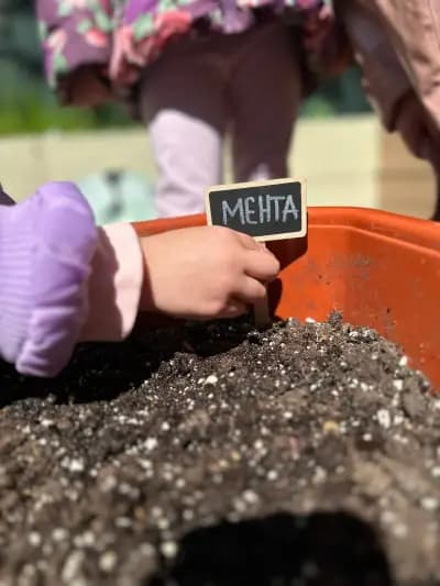 Детски образователен център “Звезда” | Бояна