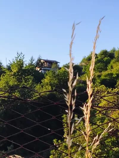 Къща "Канарата"