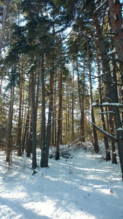 Хижа „Здравец“