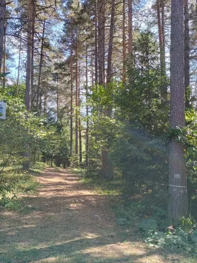 Хижа „Здравец“