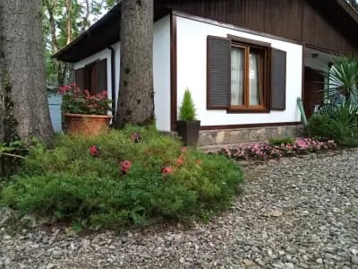 Вили Arthouses