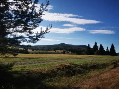 Узана Поляна Фест