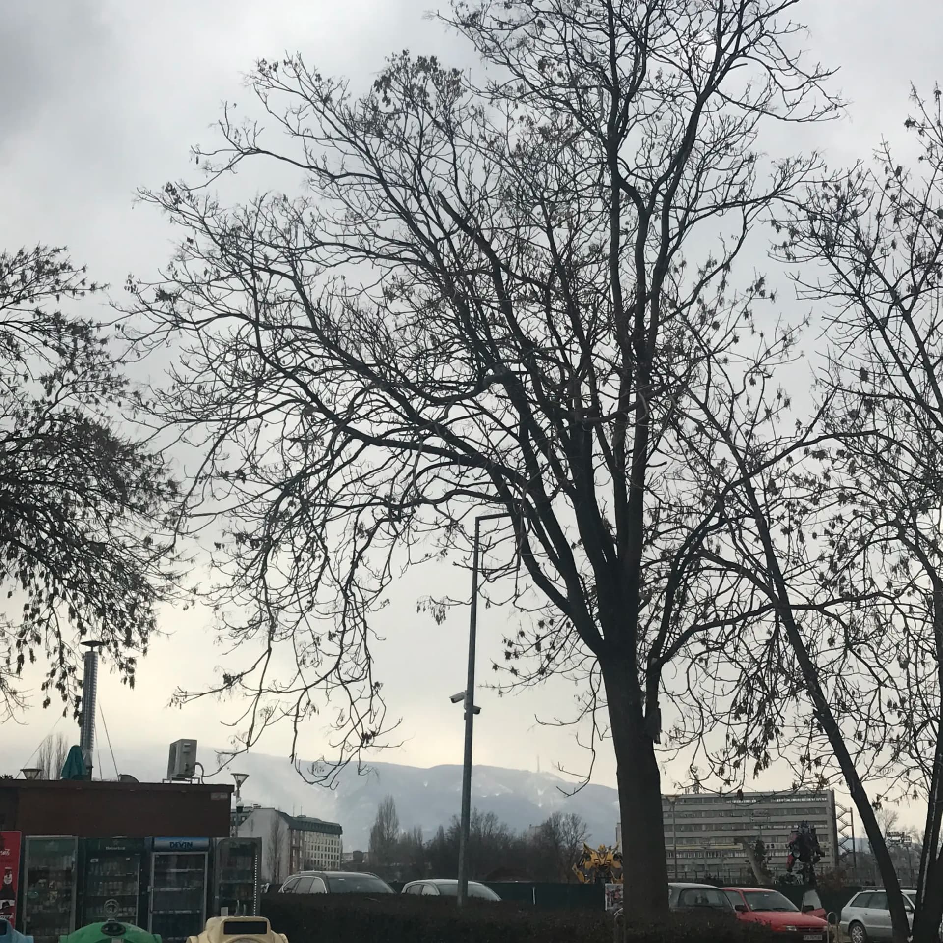 Градината на доброто