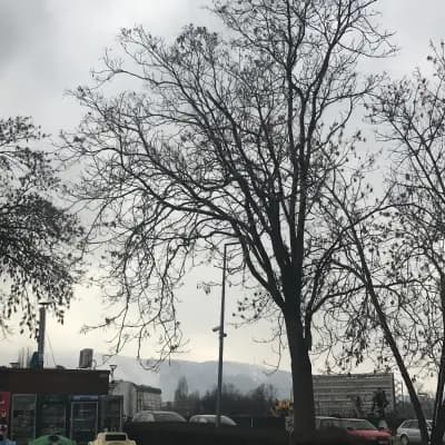 Градината на доброто