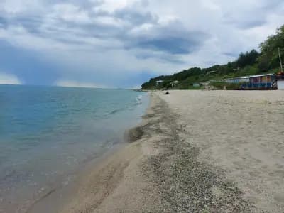 Комплекс Фичоза