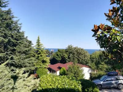 Комплекс Фичоза