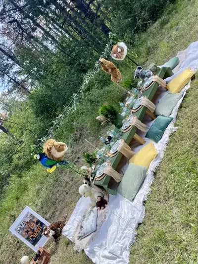 Picnic Blanket AV