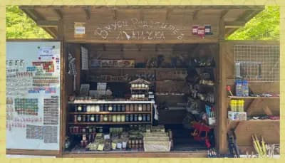 Мед, домашни сладка и сувенири от Родопите