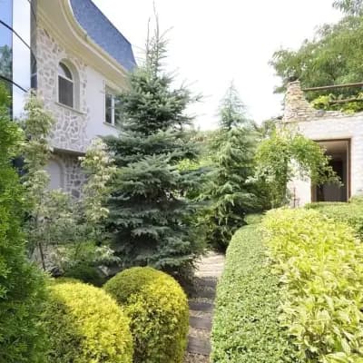 ЕРИКА озеленяване