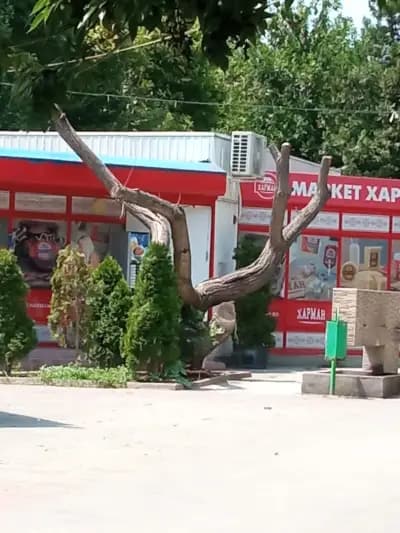 Кооперативен пазар